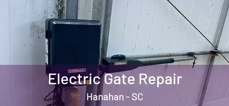 Electric Gate Repair Hanahan - SC