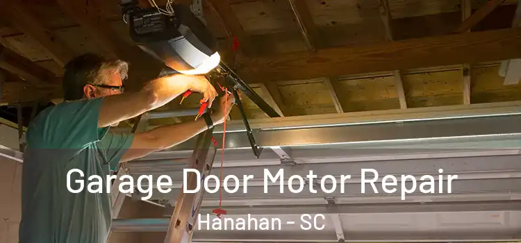 Garage Door Motor Repair Hanahan - SC