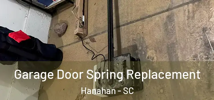  Garage Door Spring Replacement Hanahan - SC