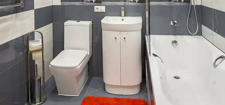 Hansgrohe Shaving Mirror Hanahan