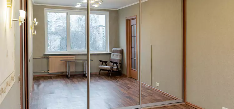 Mirror Closet Door Roller Replacement Hanahan