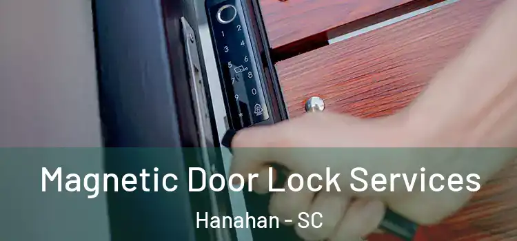Magnetic Door Lock Services Hanahan - SC