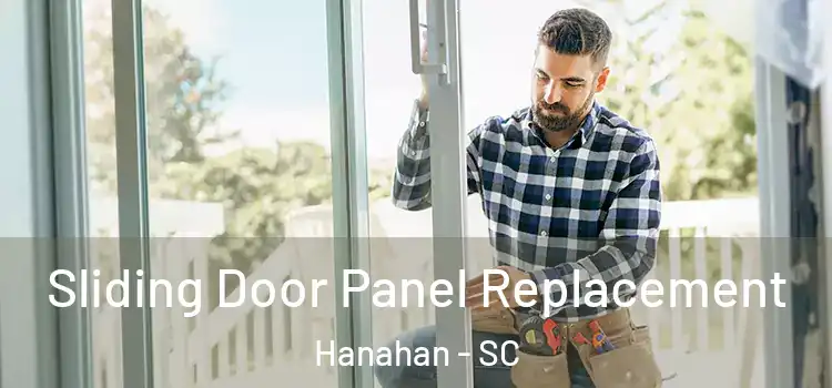  Sliding Door Panel Replacement Hanahan - SC