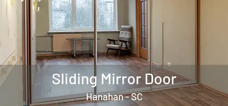  Sliding Mirror Door Hanahan - SC